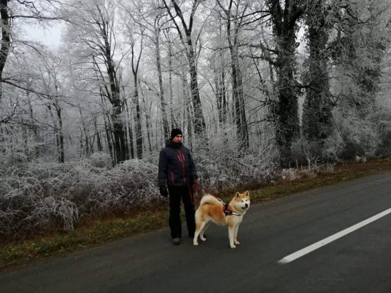Antonio Patriarka šetnja